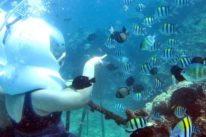 Bali Ocean Walker - Bali Ocean Walker: helmet-led seabed viewing without scuba skills
