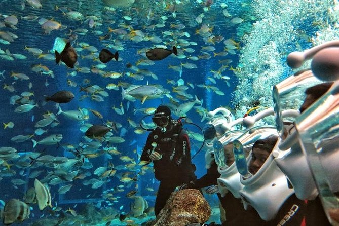 Bali Ocean Walker - Getting suited up: what the space-helmet walk feels like