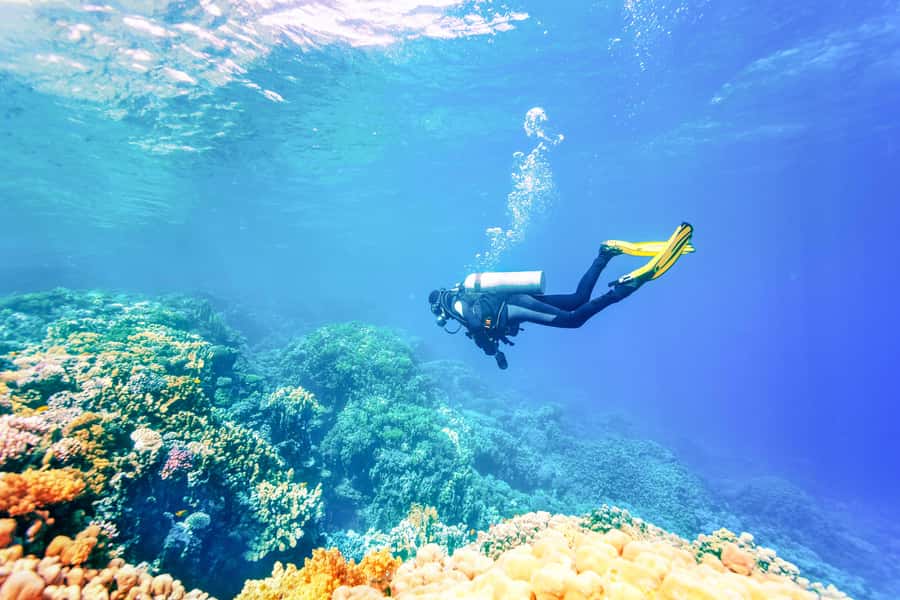 Bali: Padangbai Blue Lagoon Beginner's Dive Experience - Why Padangbai’s Blue Lagoon Works for First Timers