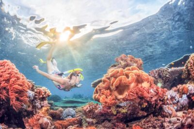 Bali: Padangbai Blue Lagoon Snorkeling Day Trip - Sanur prep: coffee, paperwork, and a real safety briefing
