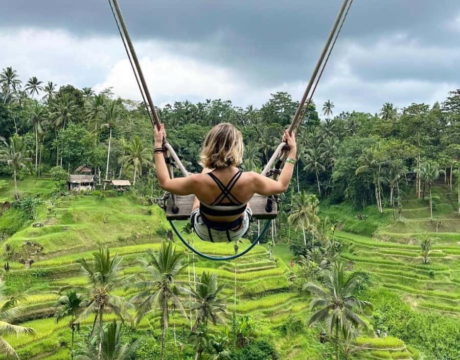 Bali: Penglipuran Village, Rice Terrace & Waterfall Tour - Tegalalang Rice Terraces: classic views plus time-saving guidance