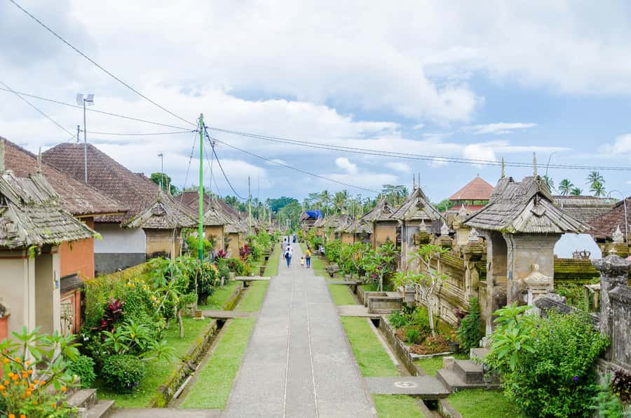 Bali: Penglipuran Village, Tirta Empul & Ubud All Incusive - A Private Day That Balances Temples, Photos, and Rice Views