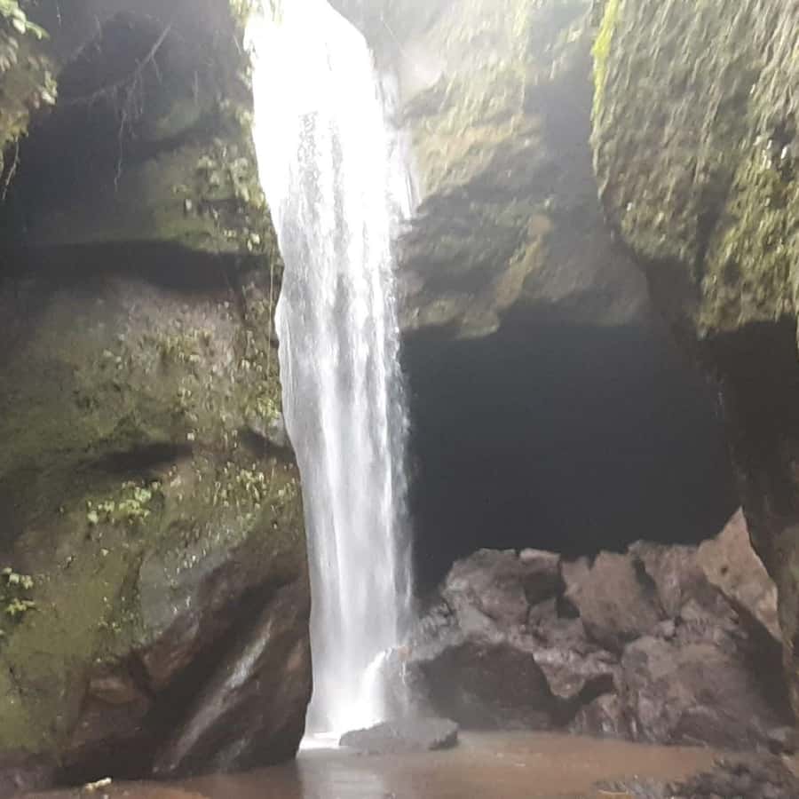 Bali: Penglipuran Village, Waterfall, and Night Market Tour - Should you book this Bali village, waterfall, and night market tour?