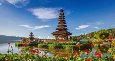 Bali: Picnic with Alpacas/Donkeys and Temple Tour - Alpacas or donkeys: what the 1.5-hour interaction is really like