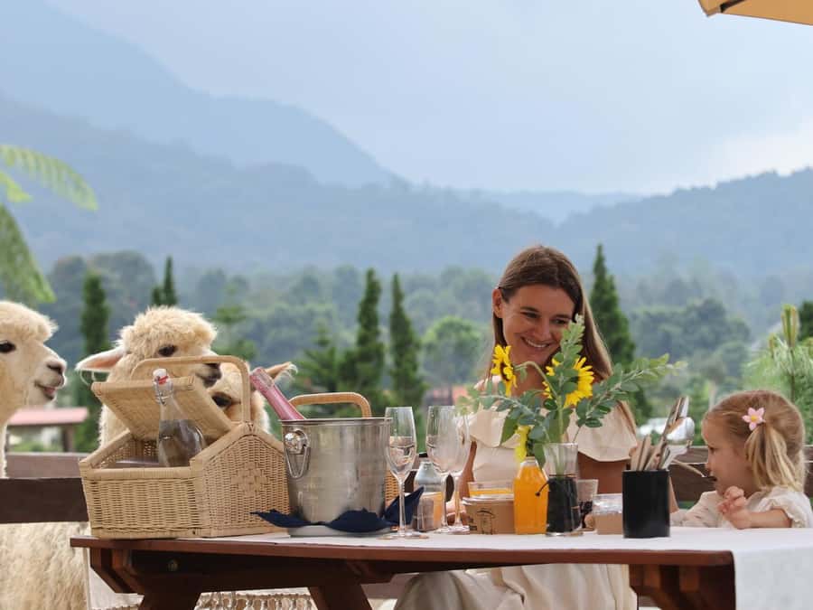 Bali: Picnic with Alpacas/Donkeys and Temple Tour - Outdoor playground time: keeping kids happy between animal moments