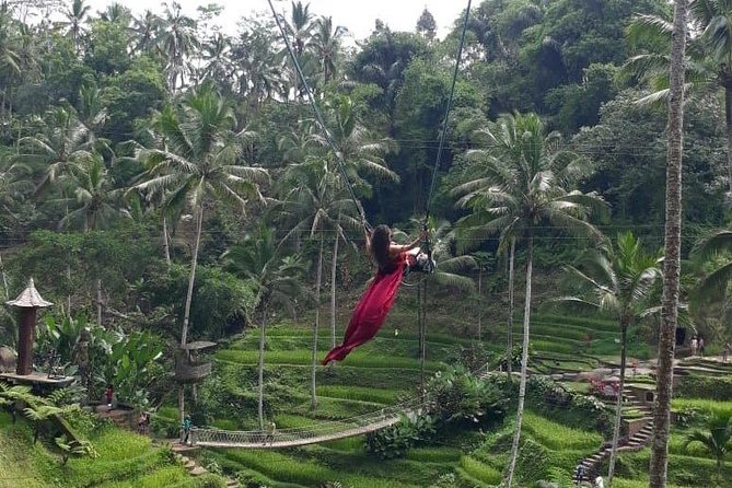 Bali Private 3 Days Tour Package Highlight - Timing, Timing, Timing: How to Get Better Photos on Each Day