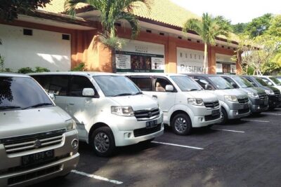 Bali Private Car and Customize Tour With English Speaking Driver - Price and logistics: what you’re really buying