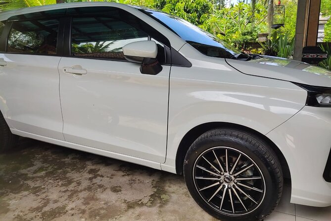 Bali Private Car and Customize Tour With English Speaking Driver - The full-day route: temples, rice terraces, water, and coast