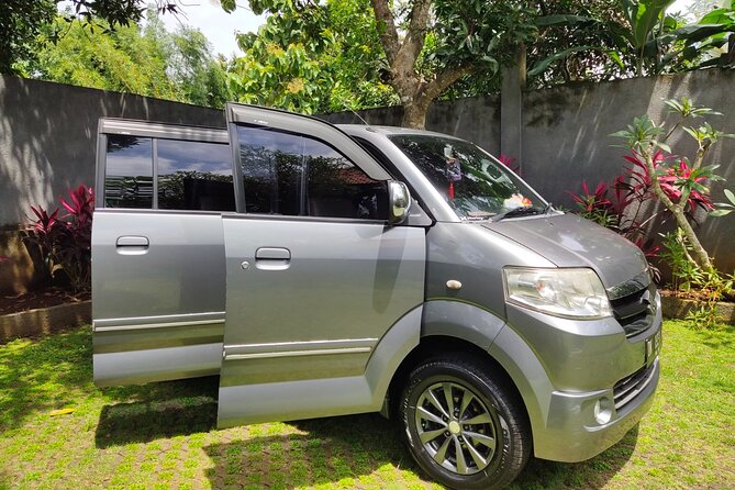Bali Private Car and Customize Tour With English Speaking Driver - What to expect from the driver experience