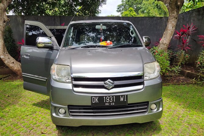 Bali Private Car and Customize Tour With English Speaking Driver - Should you book this Bali private car tour?
