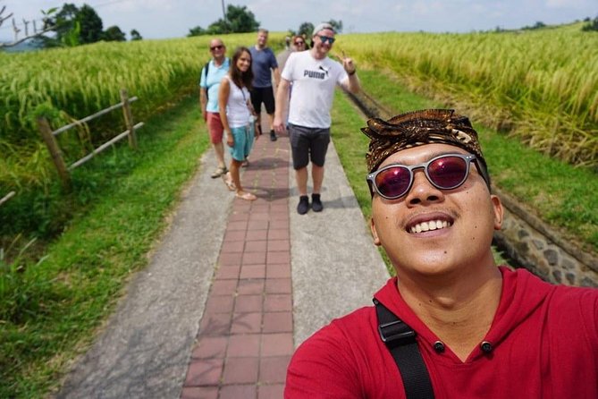 Bali Private Car Charter Tour with English Speaking Driver - How this Ubud private car charter actually feels in real life