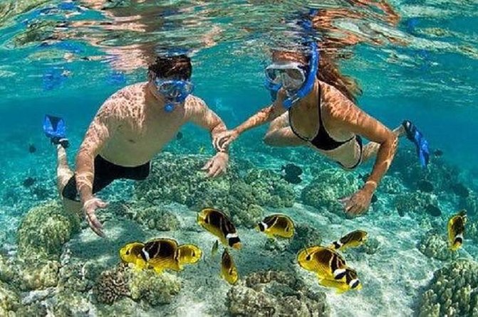 Bali Private Car Charter Tour with English Speaking Driver - Price and value: what $9 per person really buys