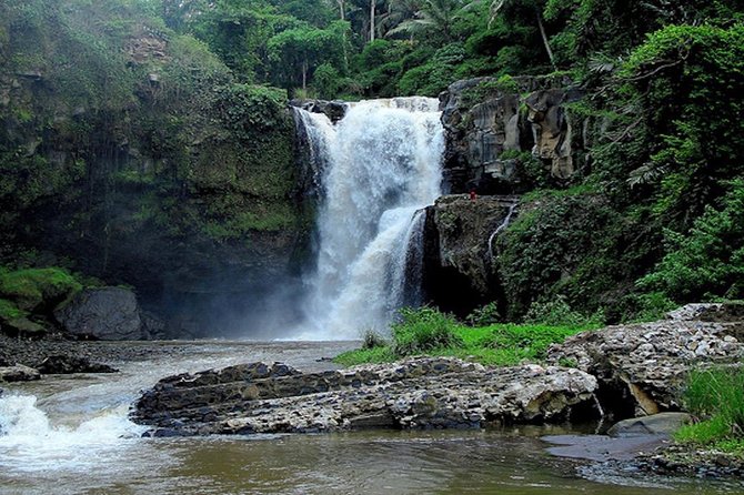 Bali Private Car Charter With English Speaking Driver - Pickup from Ubud (and most of south Bali) without the hassle