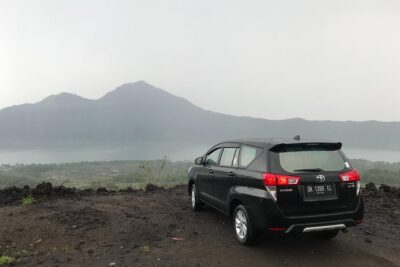Bali : Private Car Charter with English Speaking Driver - Sacred Monkey Forest sanctuary: temples, trees, and real macaques