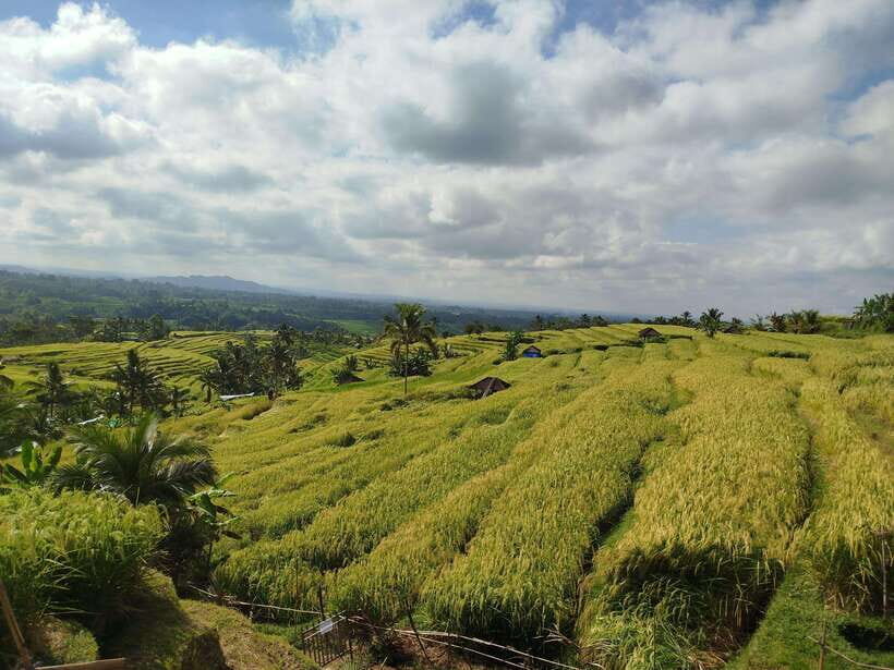 Bali: Private Car Charter with English's speaking driver - Shopping and sunset views: where the charter shines