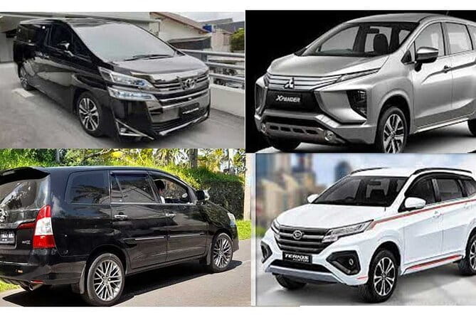 Bali Private Car Hire with Chauffeur - Where this works best (and who should skip it)