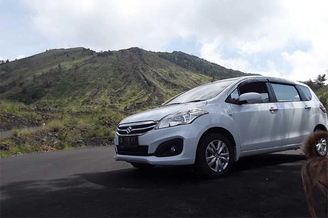 Bali Private Car or Minibus Charter With Driver - Key Highlights to Expect