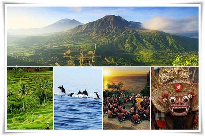 Bali Private Car or Minibus Charter With Driver - Ubud Culture Day: Monkey Forest, Bali Swing, Tirta Empul