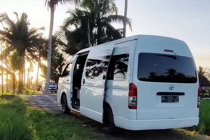 Bali Private Car Service with English Speaking Driver - Bali swings and waterfalls: fun, but plan the timing