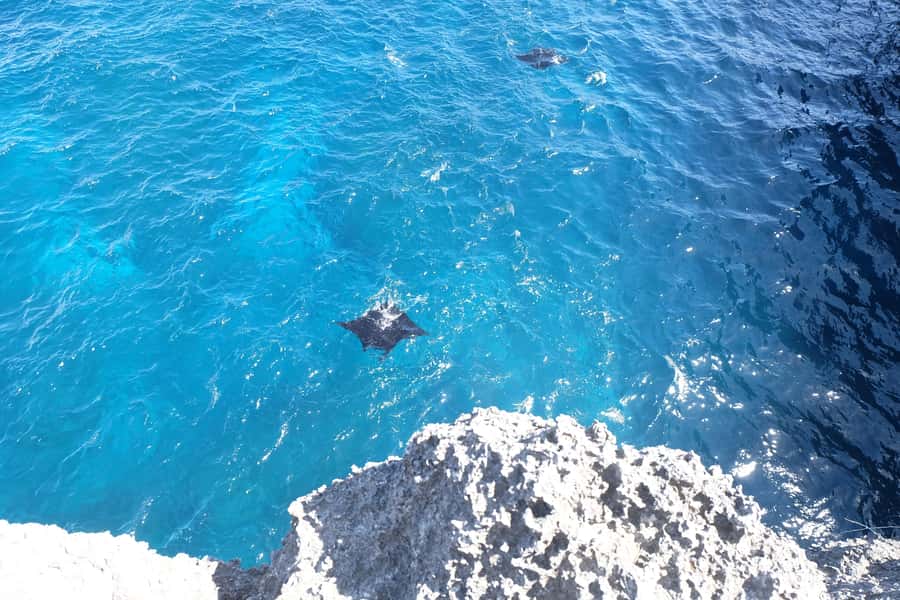 Bali: Private Car with Driver in Nusa Penida - Price and Value: What $54 Really Covers