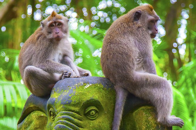 Bali Private Chartered Tour - A 10-hour private Bali day, with the freedom to choose