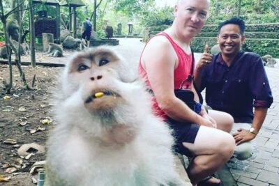 Bali Private Custom Tour - Bali Car Hire with Driver - Choosing your day: Ubud, Uluwatu, temples, waterfalls, and a hot spring