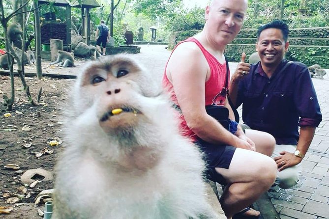 Bali Private Custom Tour - Bali Car Hire with Driver - Choosing your day: Ubud, Uluwatu, temples, waterfalls, and a hot spring