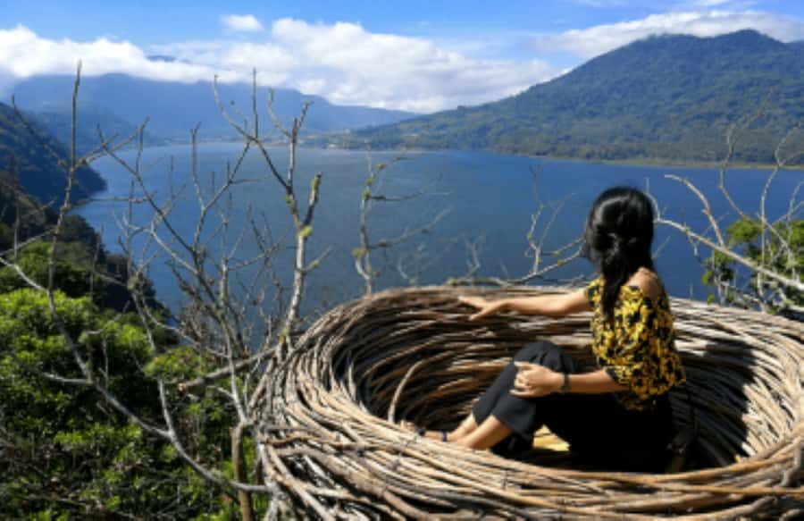 Bali Private Custom Tour – Full-Day Driver Guide (10H) - Ubud Time: Photos, a Guided Walk, and Room to Shop