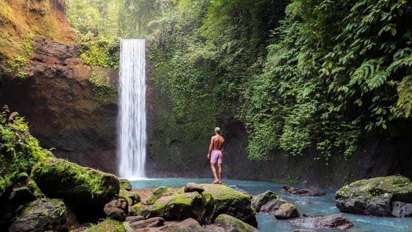 Bali: Private Custom Tours with Chauffeur - Waterfalls Tour: Tukad Cepung to Tegenungan Without the Headaches