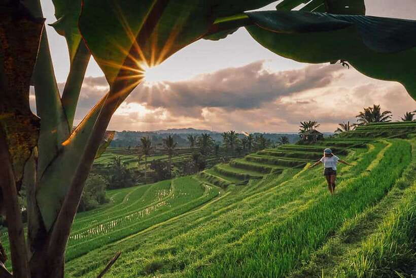 Bali: Private Custom Tours with Chauffeur - What’s Included Means You Spend Less Time Thinking