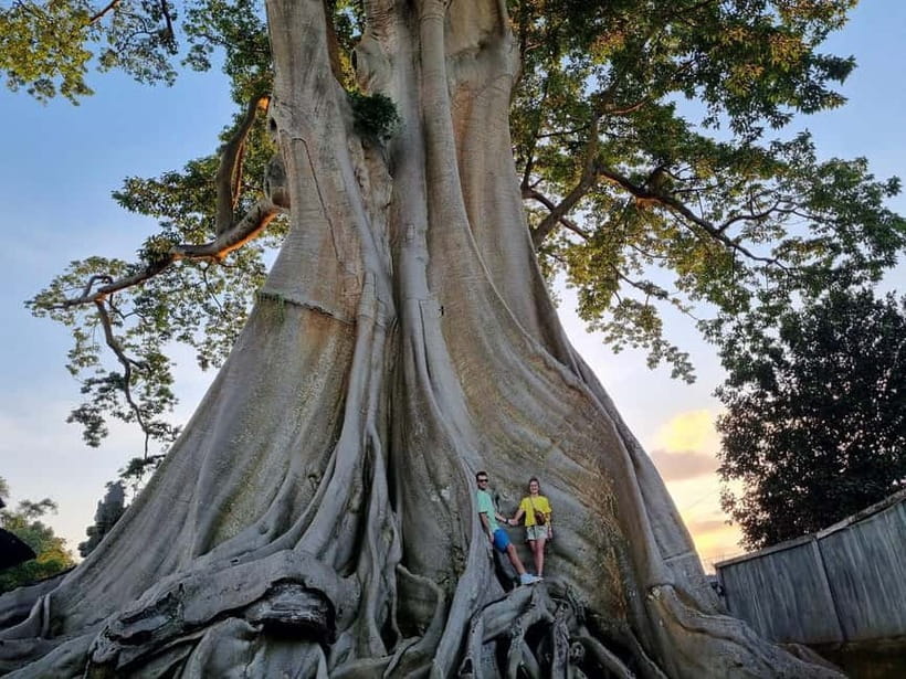 Bali: Private Customizable Tour with Driver - Who Should Book This Private Customizable Bali Tour?