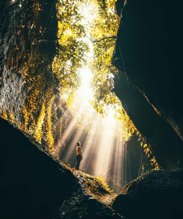 Bali: Private Customize Tour - Waterfall tour day: Tibuma, Suwat, and timing reality