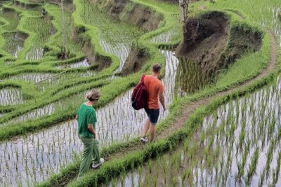 Bali Private Driver and Car for Customize Tours - Ubud Core: Monkey Forest, Rice Terraces, and holy springs