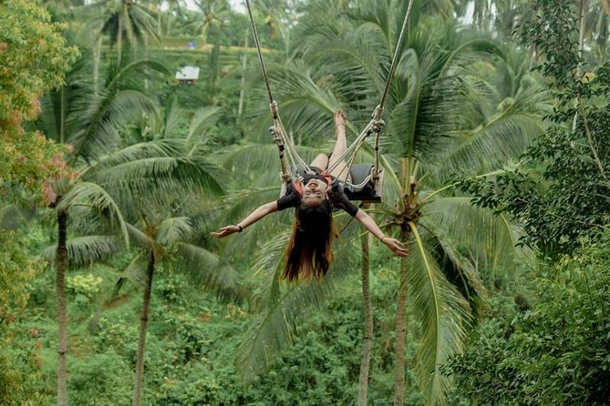 Bali Private Driver - Bali customized private tour - Wanagiri and the west: choosing a change of scenery