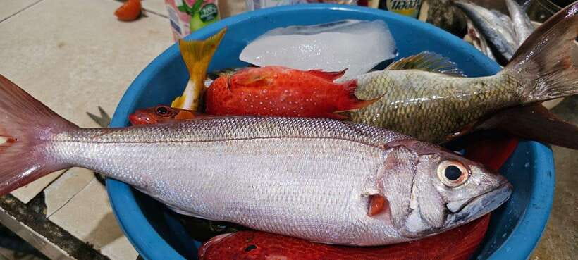 Bali: Private Fishing Trip with Lunch - Tips to make your day easier (and more comfortable on a boat)