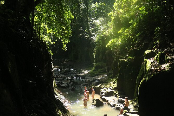 Bali Private Full Day Tour to Visit the Best Waterfalls and Swing near Ubud - Terrace River Pool Swing near Ubud—more than a single photo stop