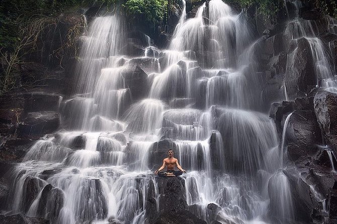 Bali Private Full Day Tour to Visit the Best Waterfalls and Swing near Ubud - Tegalalang Rice Terrace—short visit, big scenery payoff