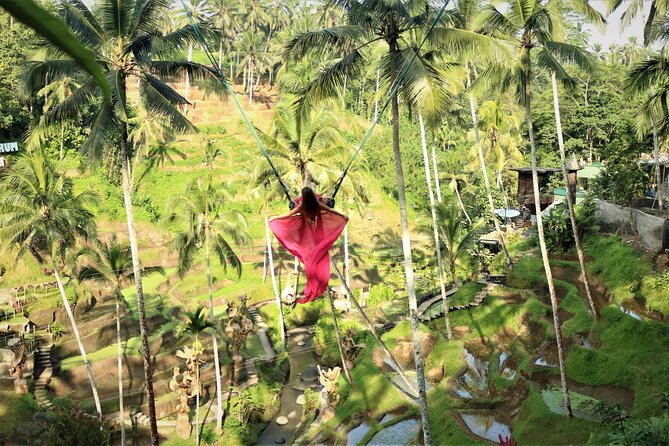 Bali Private Full Day Tour to Visit the Best Waterfalls and Swing near Ubud - Bali Pulina Coffee Plantation—an easy, budget-friendly learning stop