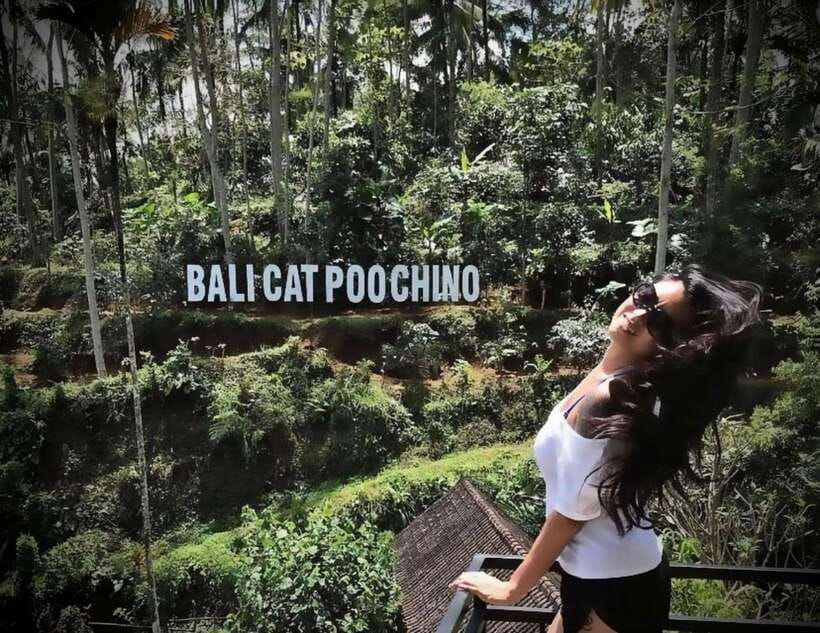 Bali: Private Full day trip Customizable tour - Timing, photos, and how to make the day feel effortless