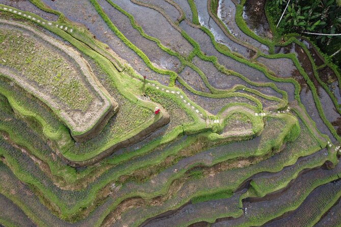 Bali Private Photographer & Drone - The Ubud locations that actually make photos pop