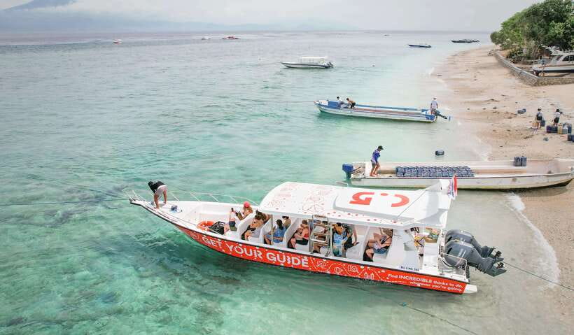 Bali: Private Snorkeling at Manta Point Nusa Penida - Why Manta Point Is the Main Event (and Why the Odds Matter)