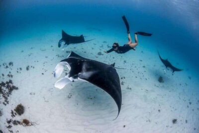 Bali: Private Snorkeling at Manta Point Nusa Penida - Getting There Takes Time, So You’ll Feel the Flow