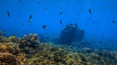 Bali: Private Snorkeling Trip to Blue Lagoon & Tanjung Jepun - Private jukung boat ride and the 10-minute safety briefing
