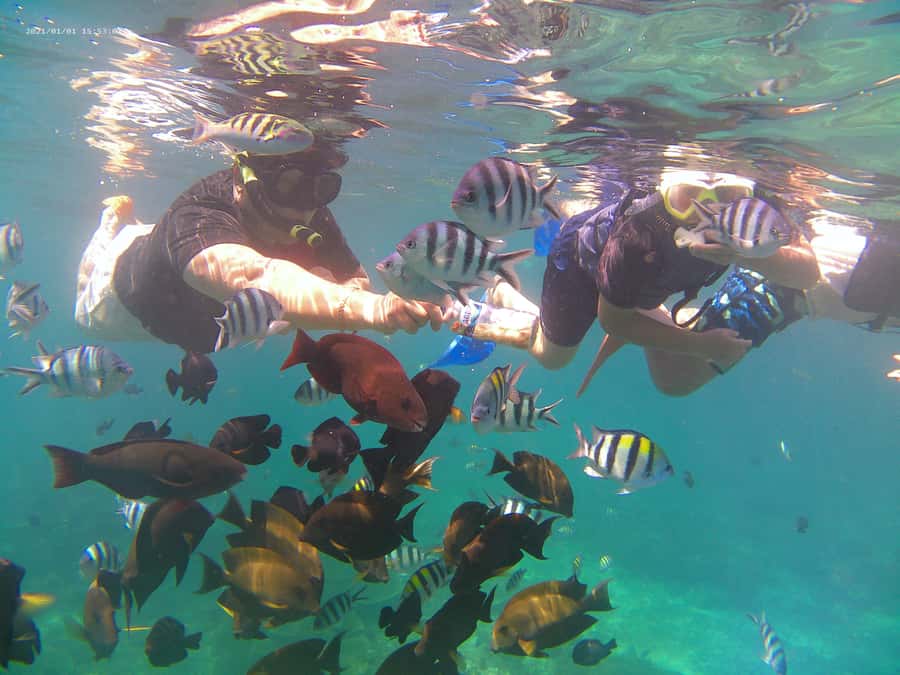 Bali: Private Snorkeling Trip to Blue Lagoon & Tanjung Jepun - After snorkeling: shower room, optional lunch, and comfort details
