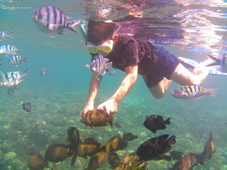 Bali: Private Snorkeling Trip to Blue Lagoon & Tanjung Jepun - Best time to go: late morning into early afternoon
