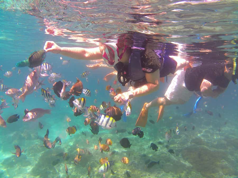 Bali: Private Snorkeling Trip to Blue Lagoon & Tanjung Jepun - Gear, instructor support, and what “private” really changes