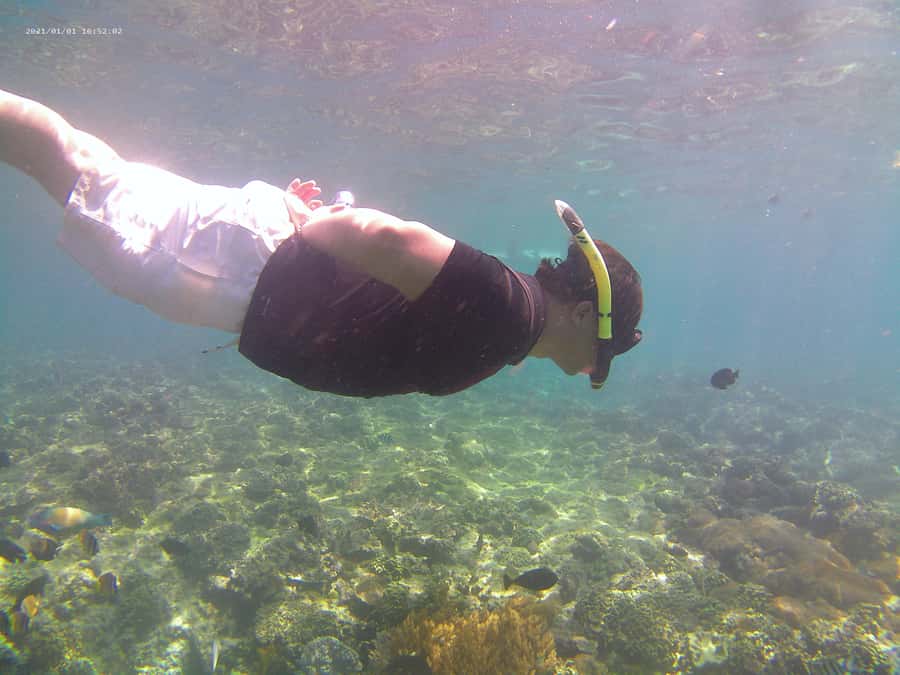 Bali: Private Snorkeling Trip to Blue Lagoon & Tanjung Jepun - Price at about $21: where the value comes from
