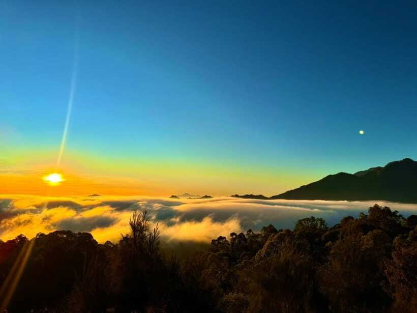 Bali: Private Sunrise Jeep Tour and Black Lava All Include - The optional coffee plantation stop: a small add-on with a big payoff