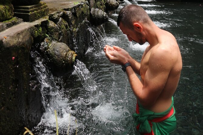 Bali Private tour - Tegalalang Rice Terrace: why Ubud still feels green