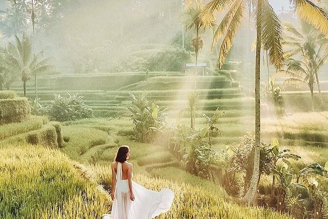 Bali Private Tour - Best of Ubud - All Inclusive - A Private Day in Ubud That Actually Feels Manageable